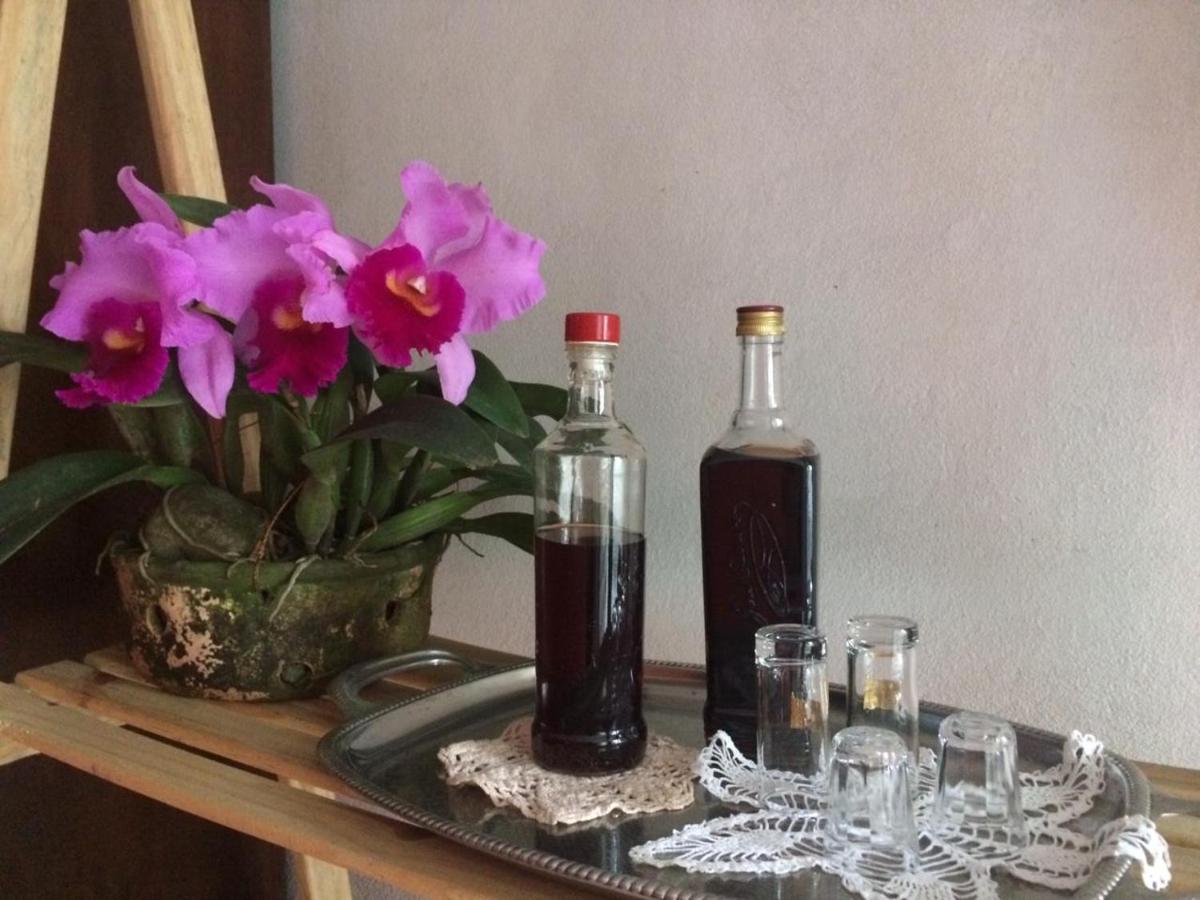 Casa Dona Hilda Blumenau Apartman Kültér fotó